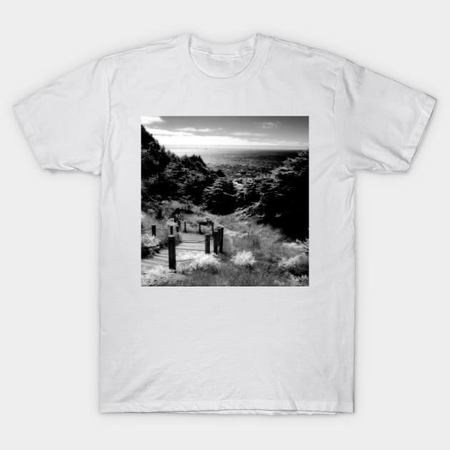 Land's End - San Francisco T-Shirt by rodneyj46